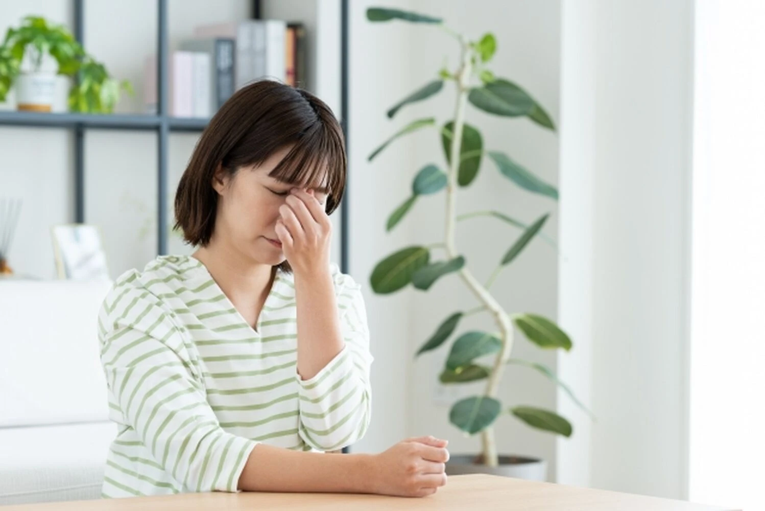 画像15549