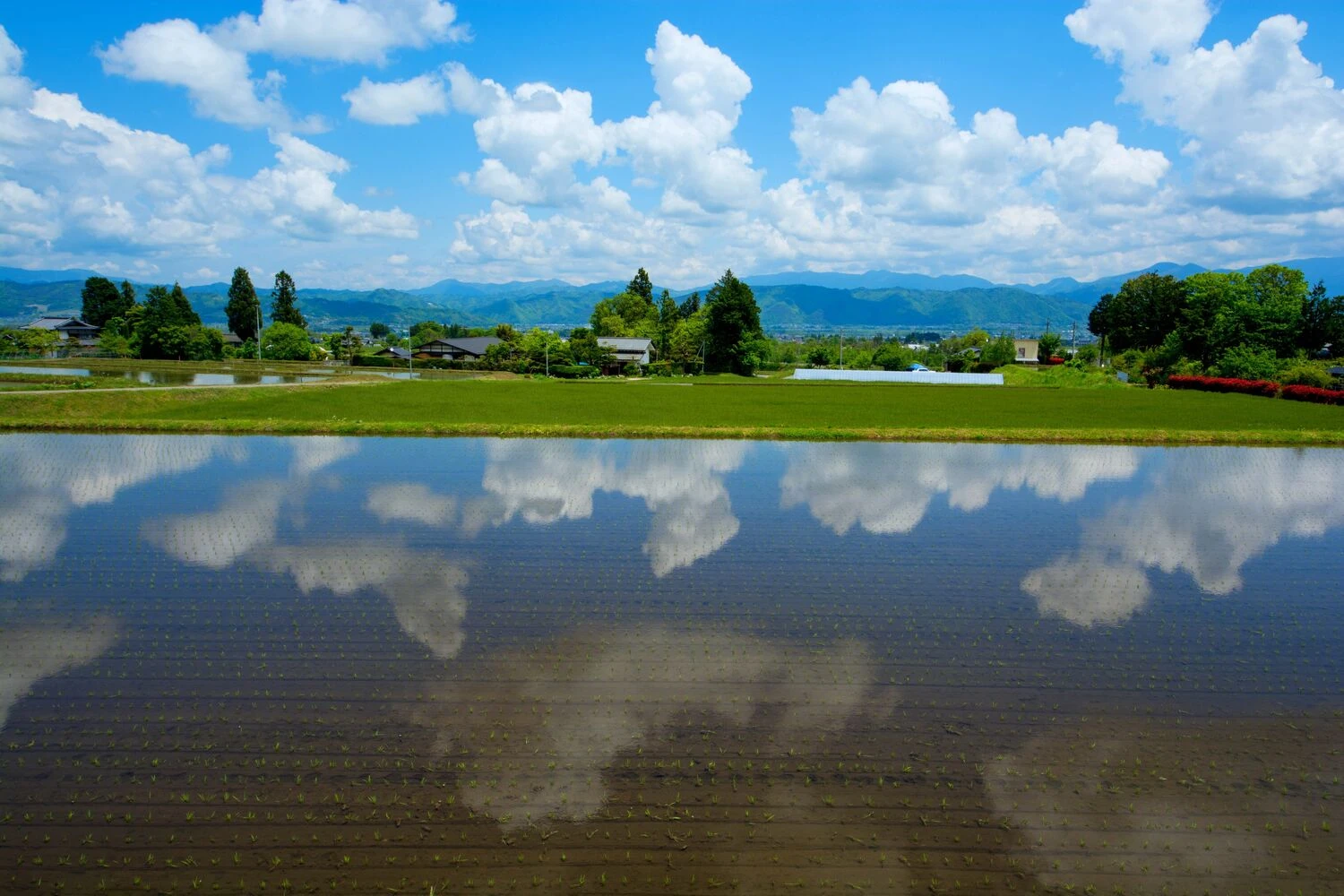 画像8300